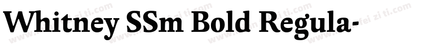 Whitney SSm Bold Regula字体转换